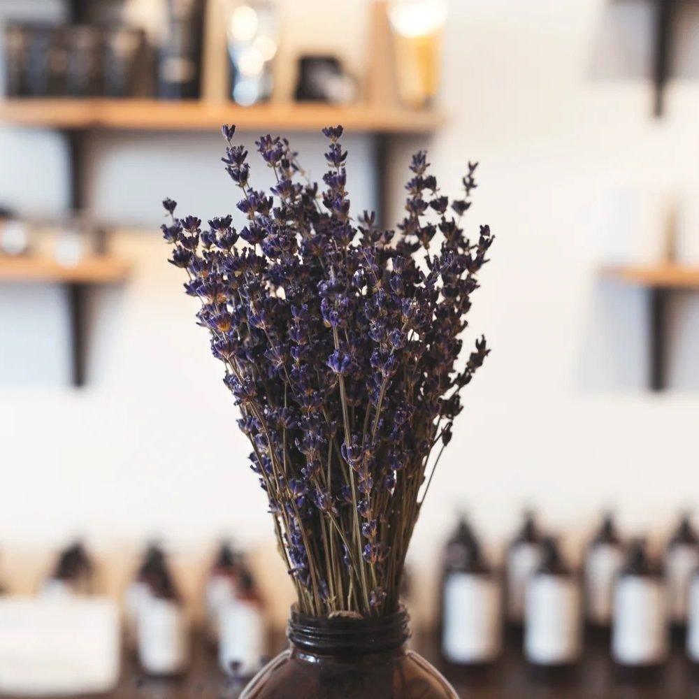 lavender-in-shop